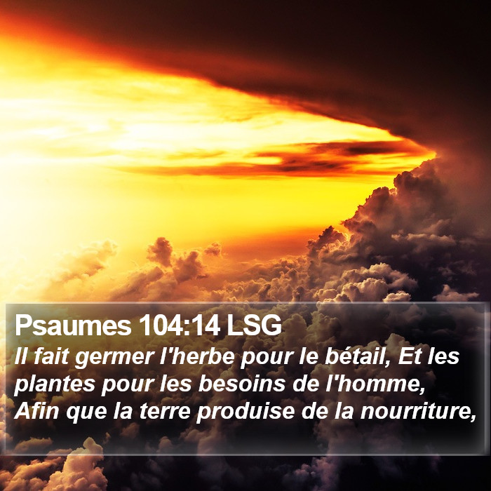 Psaumes 104:14 LSG Bible Study