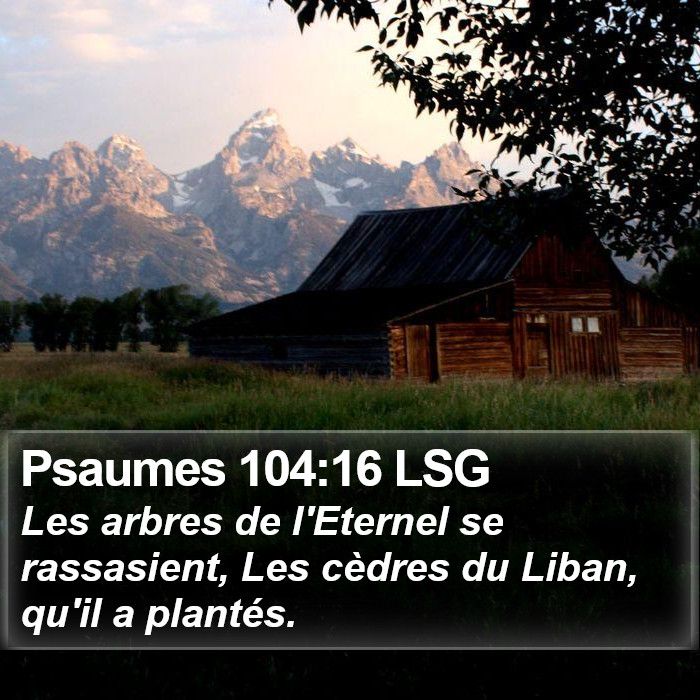 Psaumes 104:16 LSG Bible Study