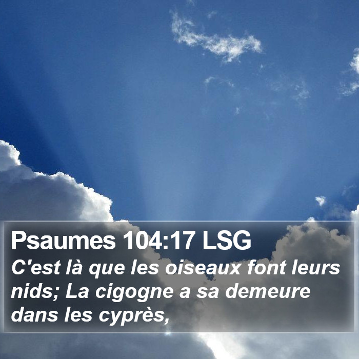 Psaumes 104:17 LSG Bible Study