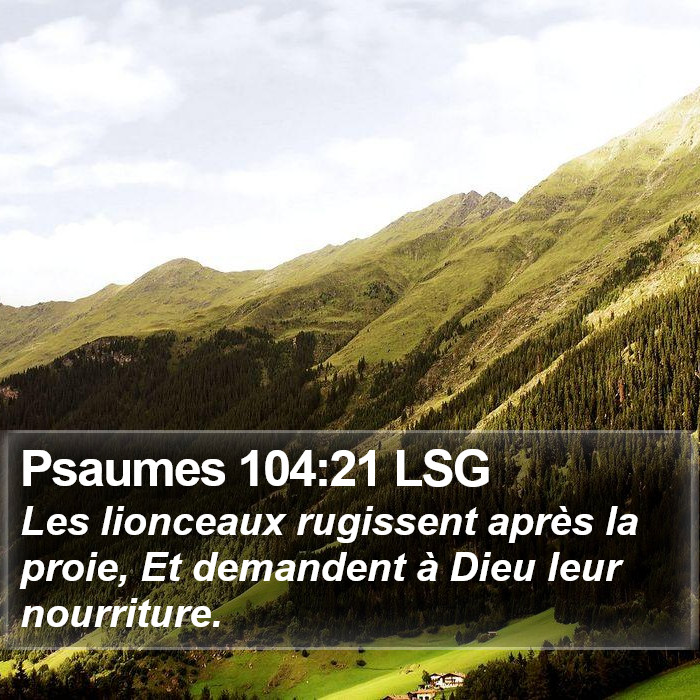 Psaumes 104:21 LSG Bible Study
