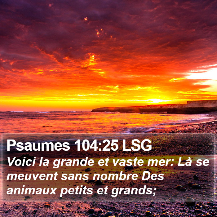 Psaumes 104:25 LSG Bible Study