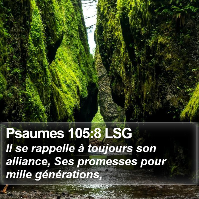 Psaumes 105:8 LSG Bible Study