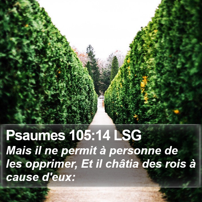 Psaumes 105:14 LSG Bible Study