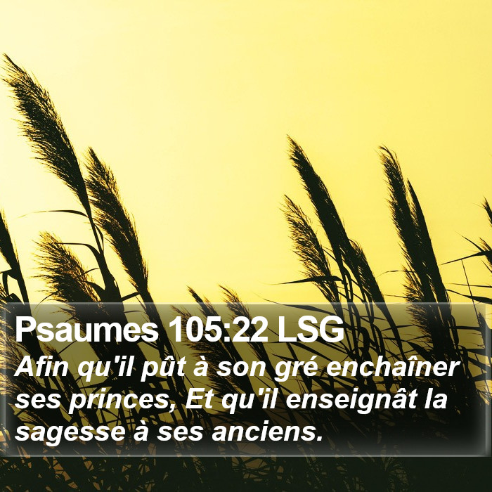 Psaumes 105:22 LSG Bible Study