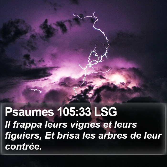 Psaumes 105:33 LSG Bible Study