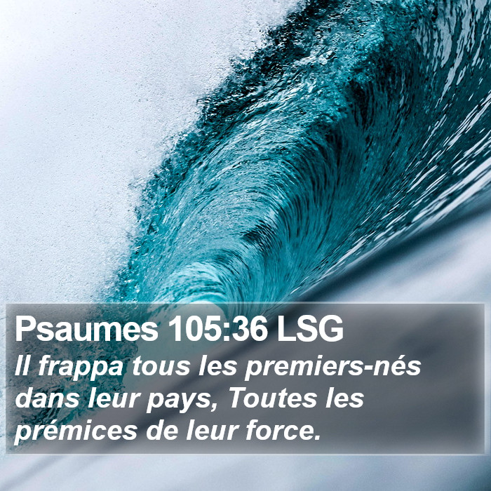 Psaumes 105:36 LSG Bible Study