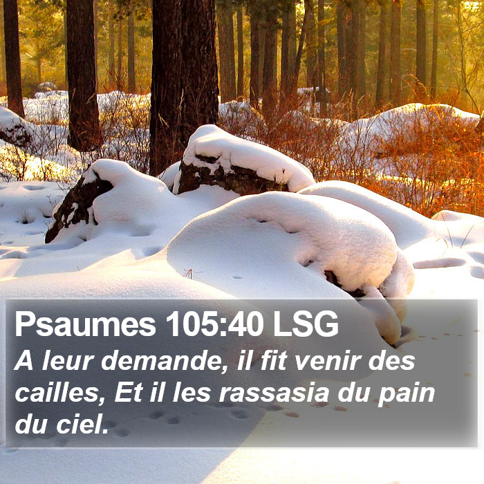 Psaumes 105:40 LSG Bible Study