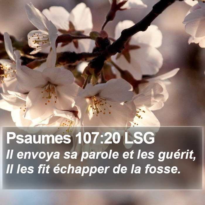 Psaumes 107:20 LSG Bible Study
