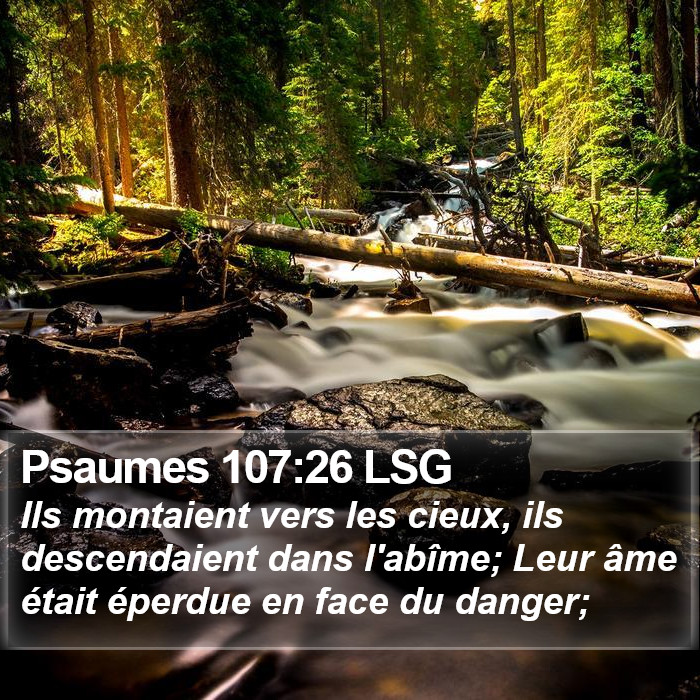 Psaumes 107:26 LSG Bible Study