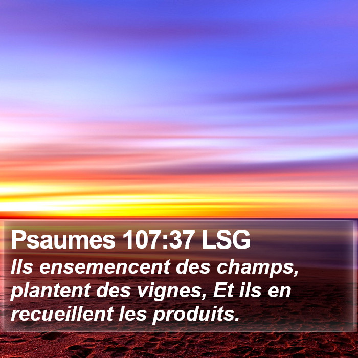Psaumes 107:37 LSG Bible Study