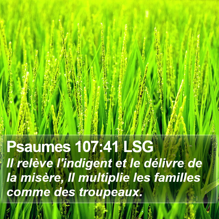 Psaumes 107:41 LSG Bible Study
