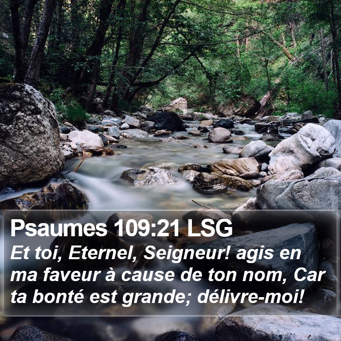 Psaumes 109:21 LSG Bible Study