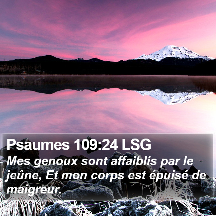Psaumes 109:24 LSG Bible Study