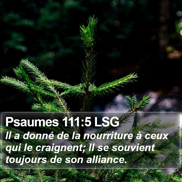 Psaumes 111:5 LSG Bible Study