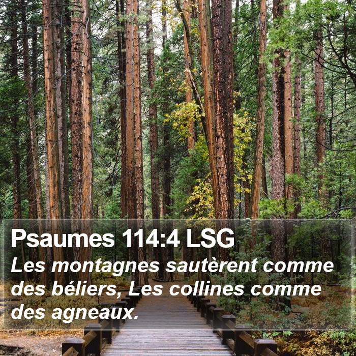 Psaumes 114:4 LSG Bible Study
