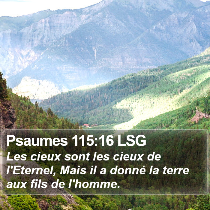 Psaumes 115:16 LSG Bible Study