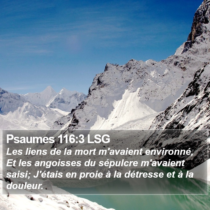 Psaumes 116:3 LSG Bible Study
