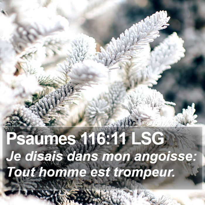 Psaumes 116:11 LSG Bible Study
