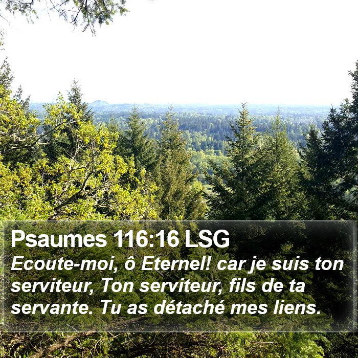 Psaumes 116:16 LSG Bible Study