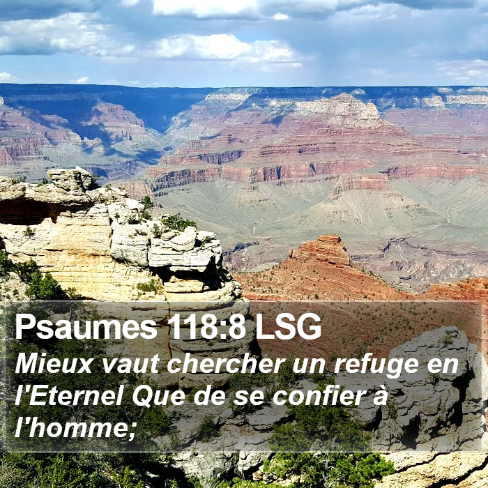 Psaumes 118:8 LSG Bible Study