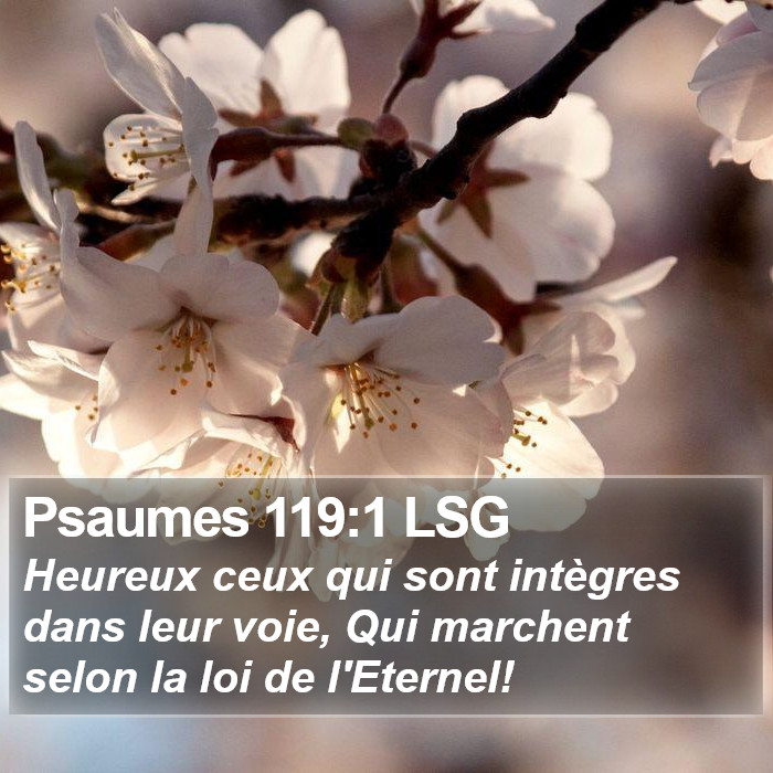 Psaumes 119:1 LSG Bible Study