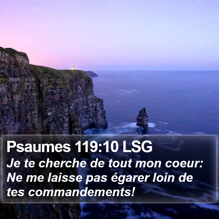 Psaumes 119:10 LSG Bible Study