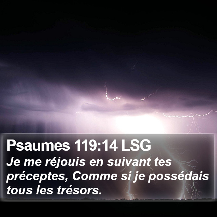 Psaumes 119:14 LSG Bible Study