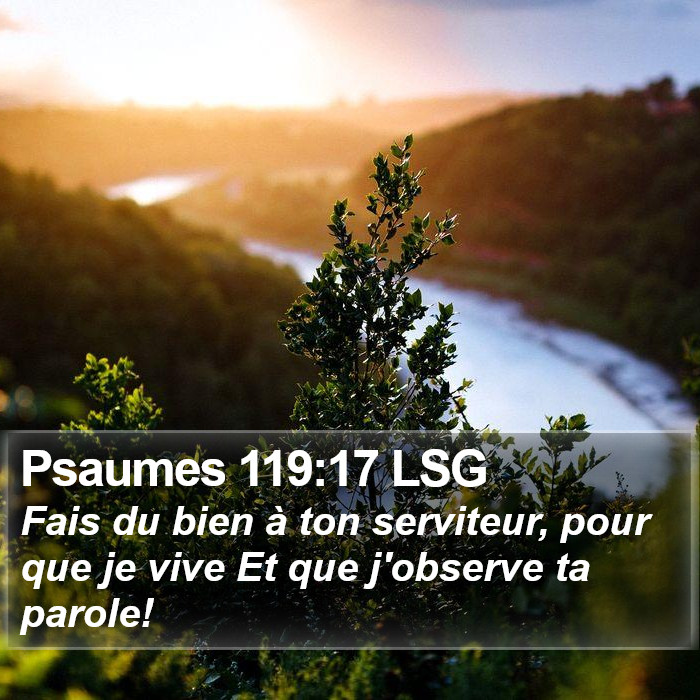 Psaumes 119:17 LSG Bible Study