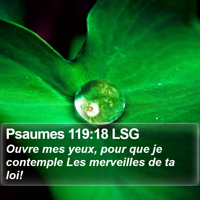 Psaumes 119:18 LSG Bible Study