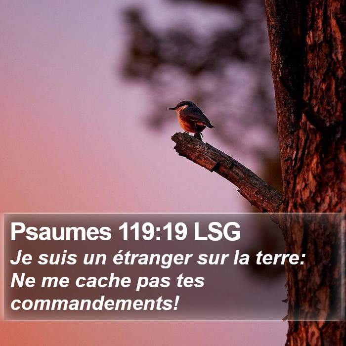 Psaumes 119:19 LSG Bible Study