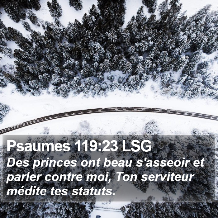 Psaumes 119:23 LSG Bible Study