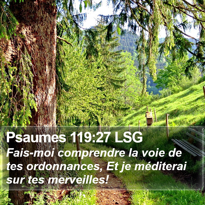 Psaumes 119:27 LSG Bible Study