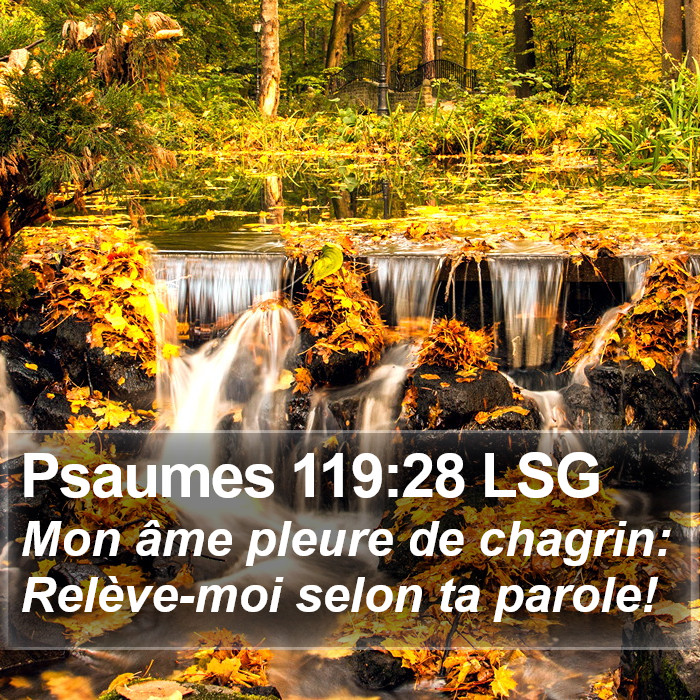 Psaumes 119:28 LSG Bible Study