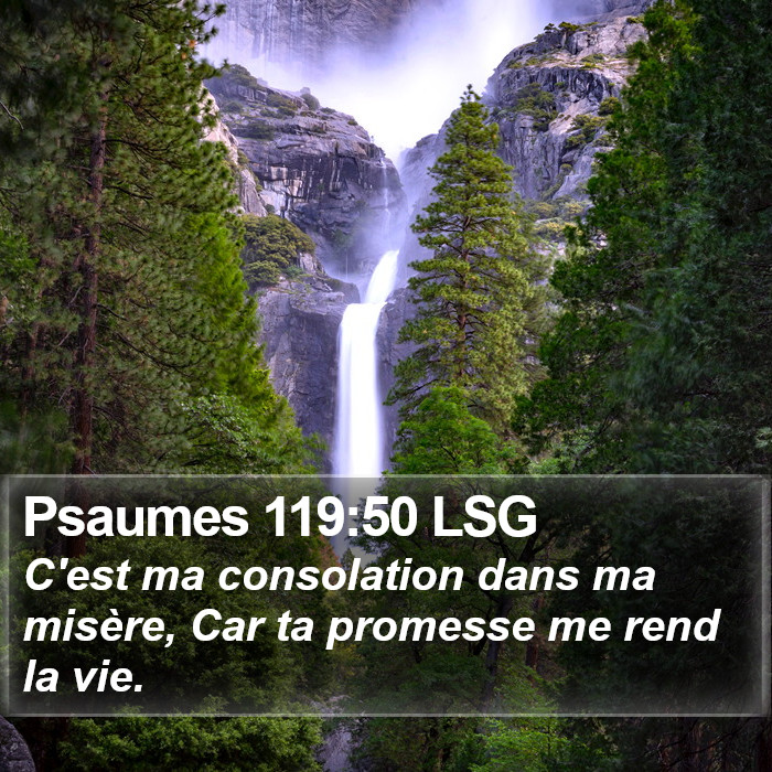 Psaumes 119:50 LSG Bible Study