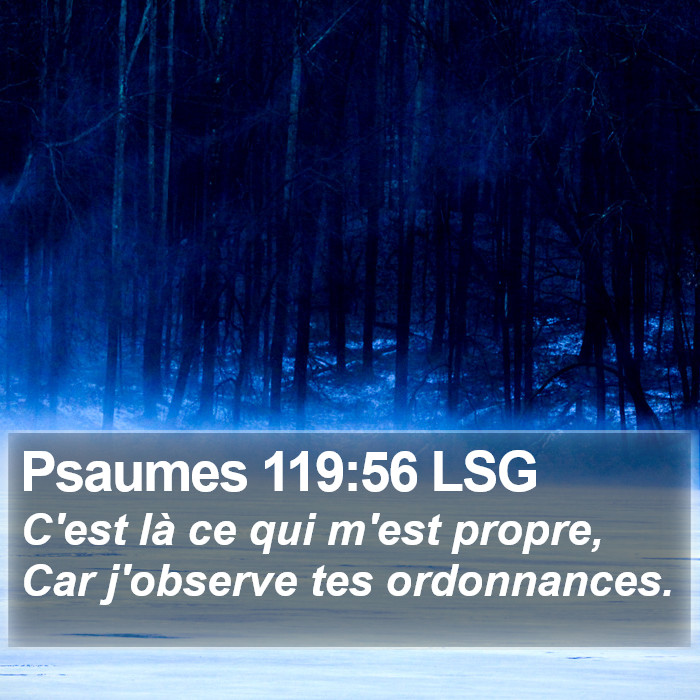 Psaumes 119:56 LSG Bible Study