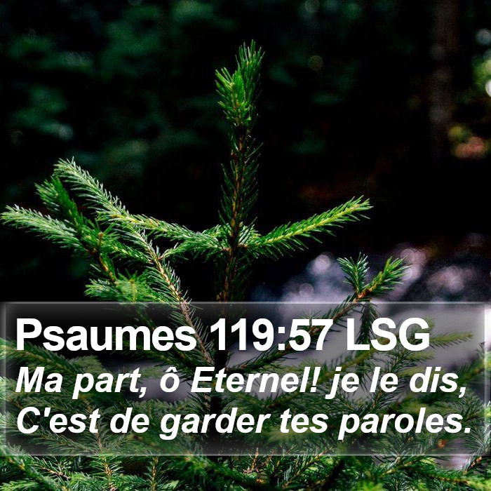 Psaumes 119:57 LSG Bible Study