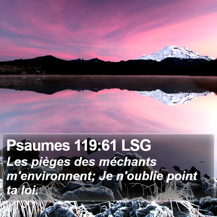 Psaumes 119:61 LSG Bible Study