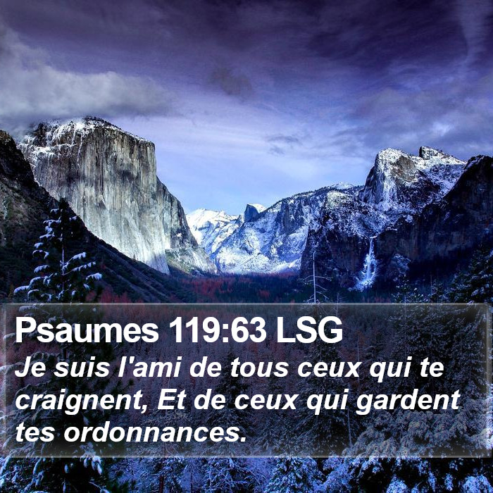 Psaumes 119:63 LSG Bible Study