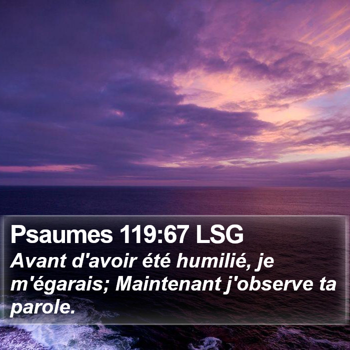 Psaumes 119:67 LSG Bible Study