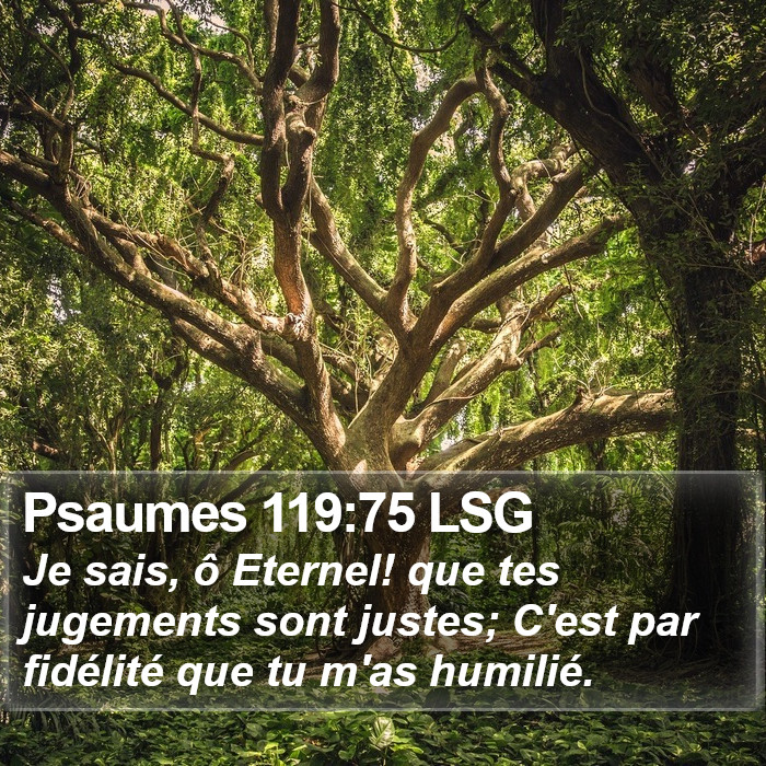 Psaumes 119:75 LSG Bible Study