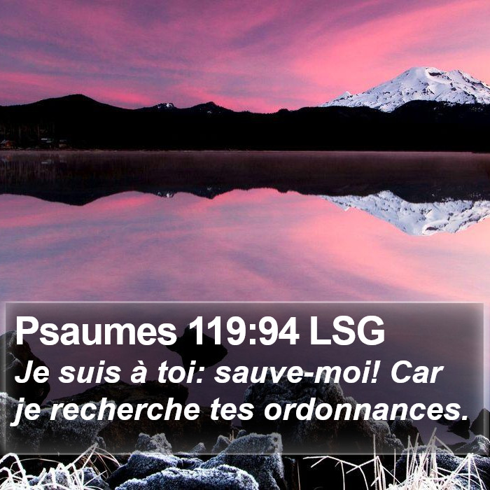 Psaumes 119:94 LSG Bible Study