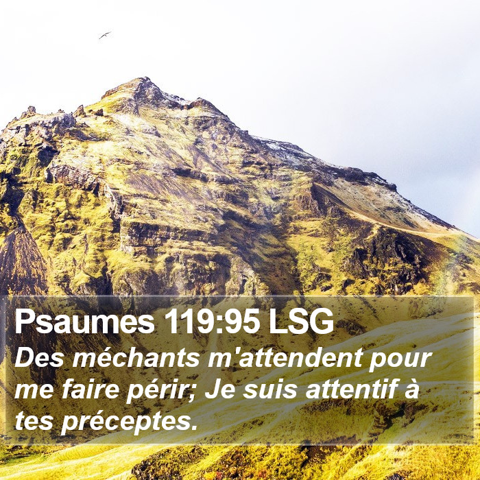 Psaumes 119:95 LSG Bible Study