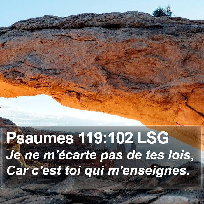 Psaumes 119:102 LSG Bible Study