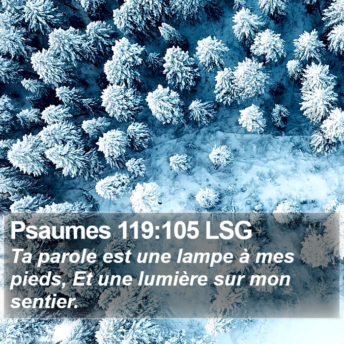 Psaumes 119:105 LSG Bible Study