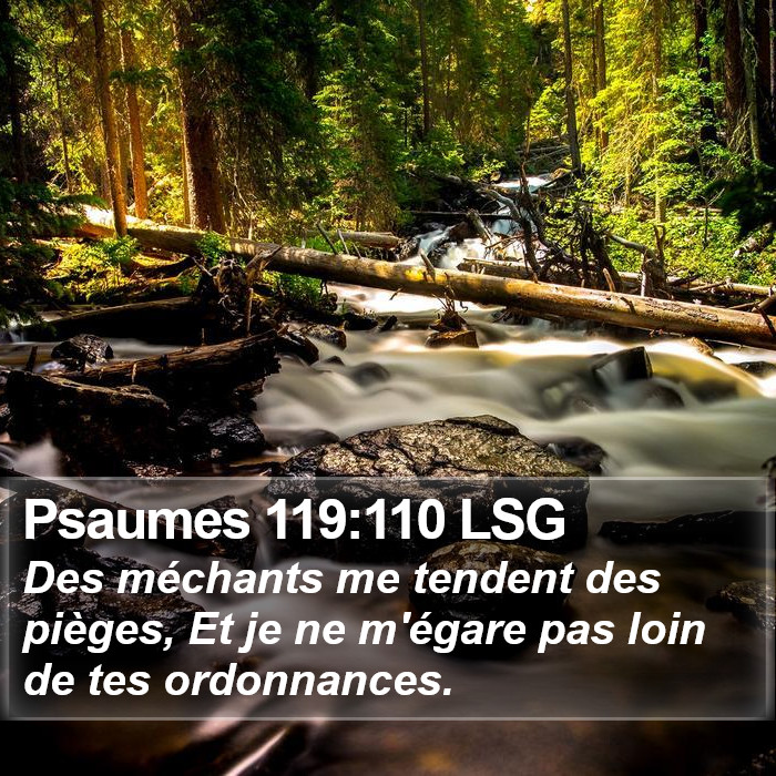 Psaumes 119:110 LSG Bible Study