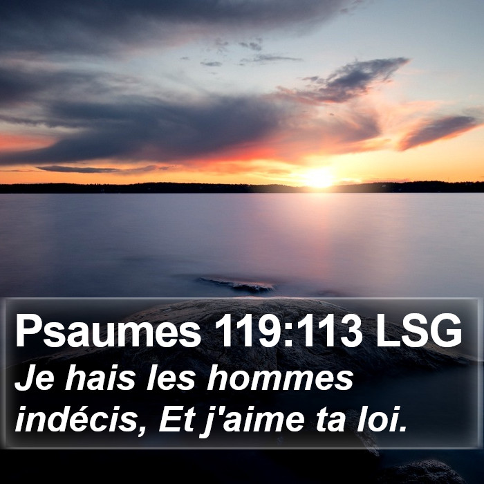 Psaumes 119:113 LSG Bible Study