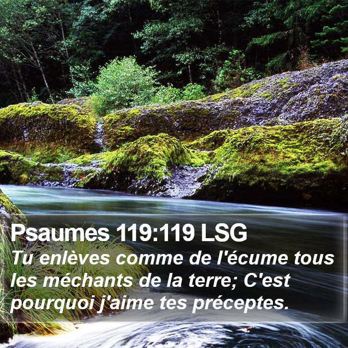 Psaumes 119:119 LSG Bible Study