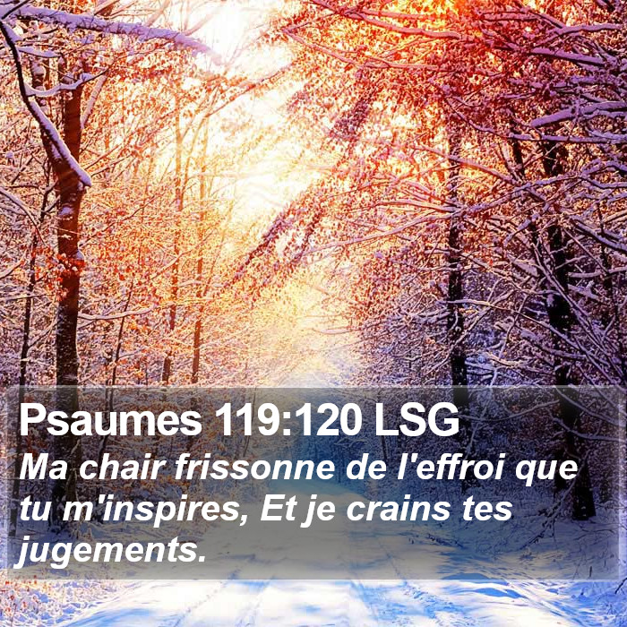 Psaumes 119:120 LSG Bible Study