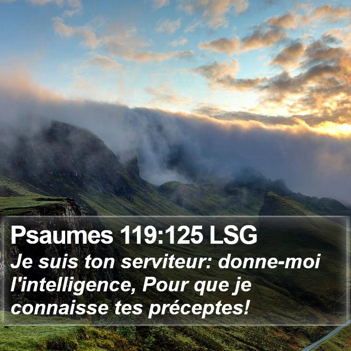 Psaumes 119:125 LSG Bible Study