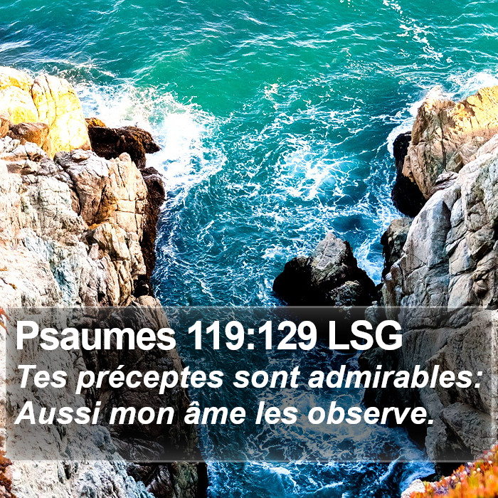 Psaumes 119:129 LSG Bible Study